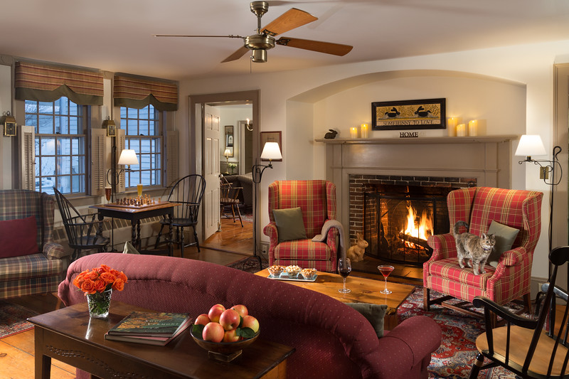 living-room-fire-with-cat