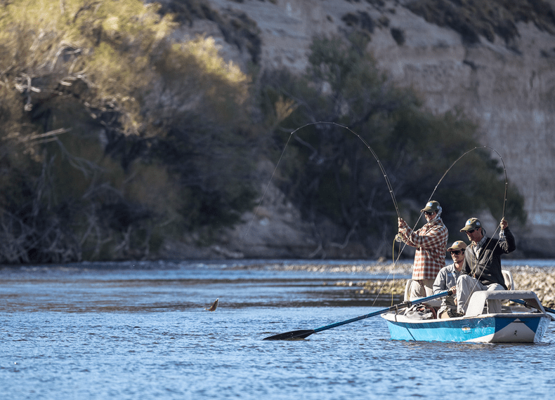 Screen shot 2017-07-31 at 10.02.49 PM